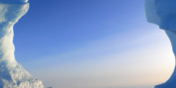 Breaking Free: The Thirty-Year Journey of the World’s Largest Iceberg Endangers South Georgia’s Ecosystem