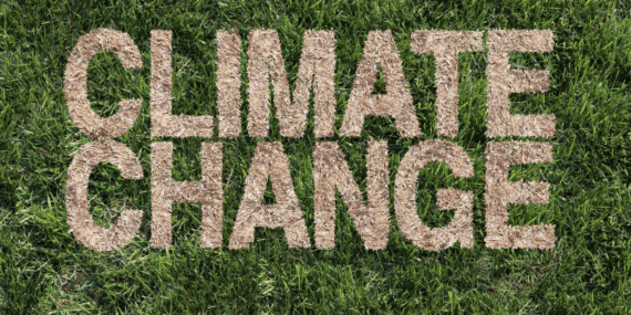 United States and China Collaborate to Address Climate Crisis: Revival of Working Group and Renewable Energy Pledges