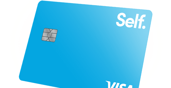 Self Visa Secured – How To Apply